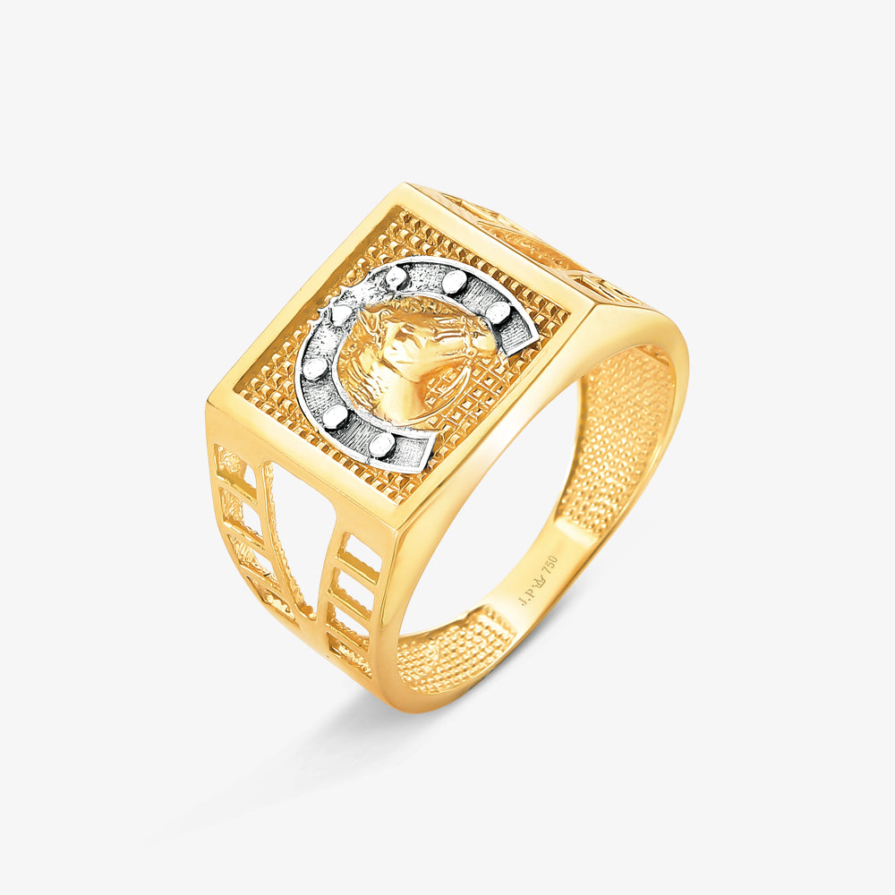 Anel Ferradura Cavalo em Ouro Amarelo 18K