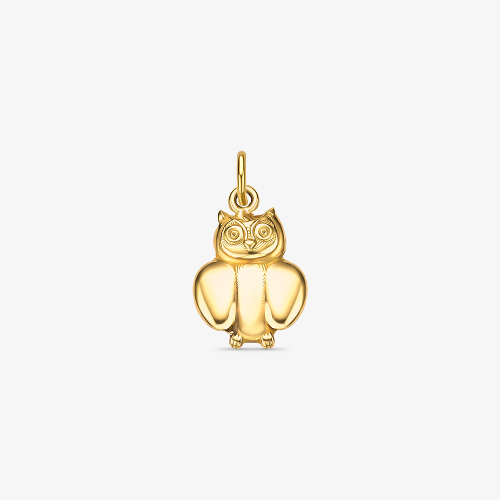 Pingente Profissão Pedagogia em Ouro Amarelo 18K
